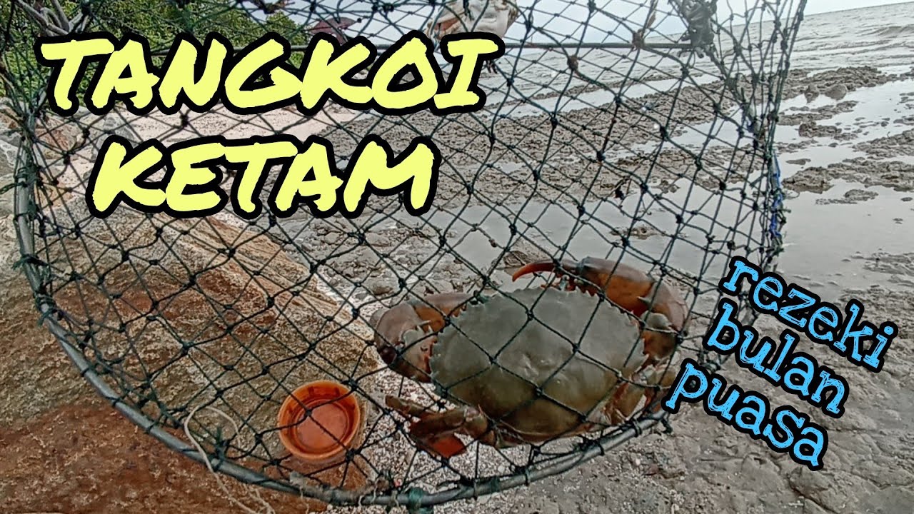 #EP519 Rezeki di Bulan Puasa - tahan tangkul/bento ketam