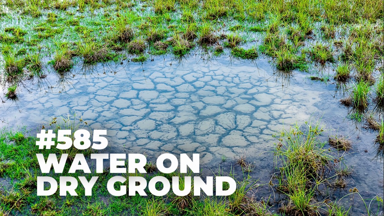 #585 - Water on Dry Ground