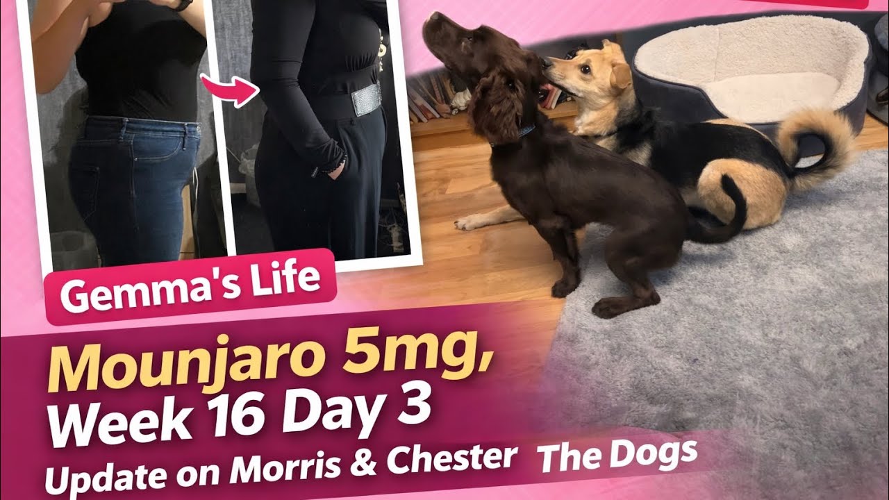 Mounjaro 5mg / Food Diary / New puppy update
