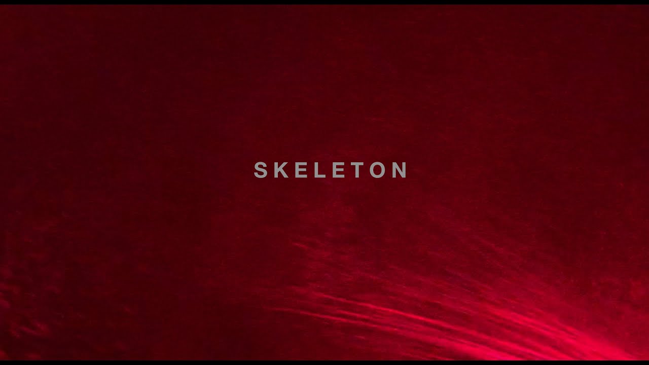 Lidnesty feat. Hahapoison - Skeleton (Official Lyric Video)