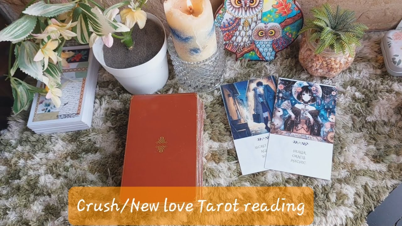 Crush or New love tarot reading | Feelings | Intentions | Next actions | General guidance | Timeless