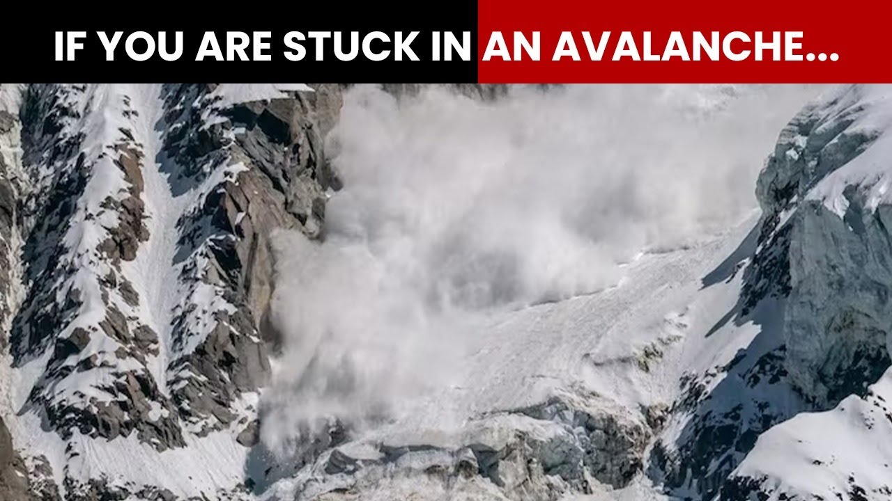 Sikkim Avalanche: What Is An Avalanche And What To Do If You Are Stuck In One