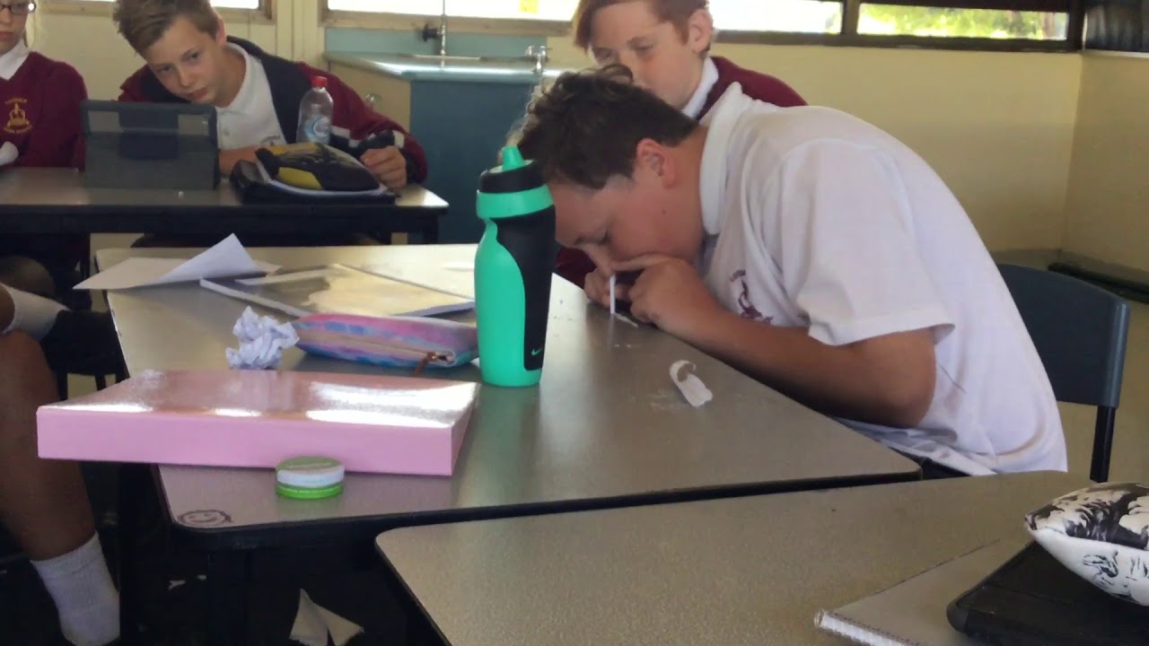 Snorting Shit