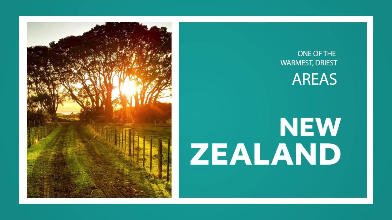 Winexpert&trade; LE18 New Zealand Fume Blanc