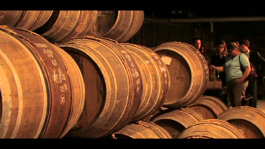 Les Circuits de Visite des Grandes Maisons de Cognac