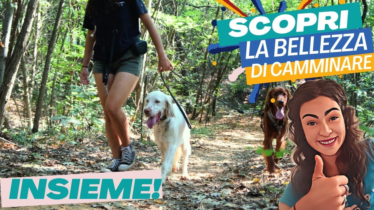 MIGLIORA le tue abilità nel portare il cane al GUINZAGLIO: ti svelo le nostre tecniche