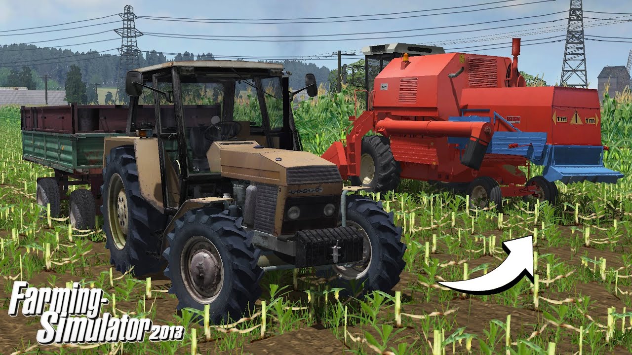 Koszenie Kukurydzy na Ziarno Bizon Rekord - Polska Wieś - Farming Simulator 13 FS13