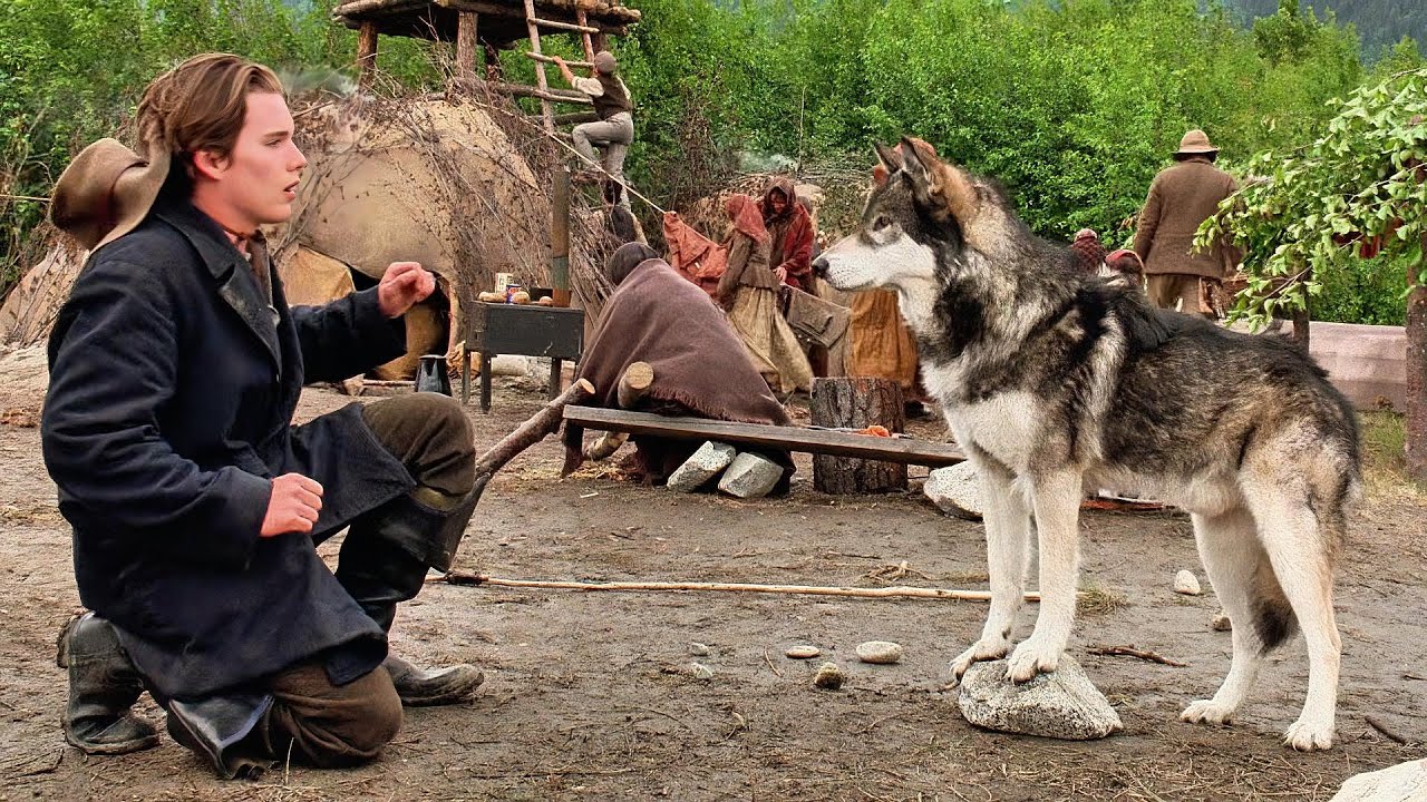 White Fang: From Lonely Wolf Pup to Hero Who Defied Death and Found Unbreakable Loyalty