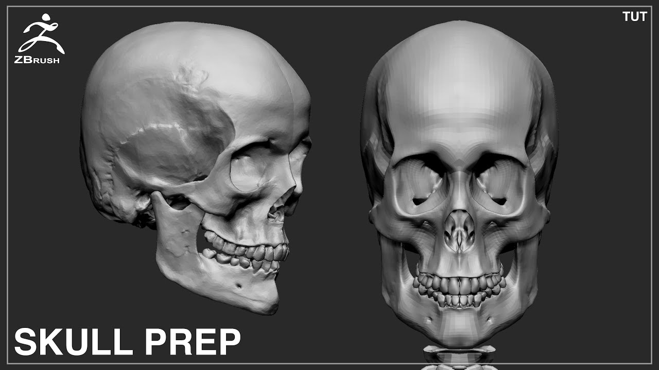 Lithium Skull Prep | Mechanamoly Timelapse Series | ZBrush | Mech Ministry
