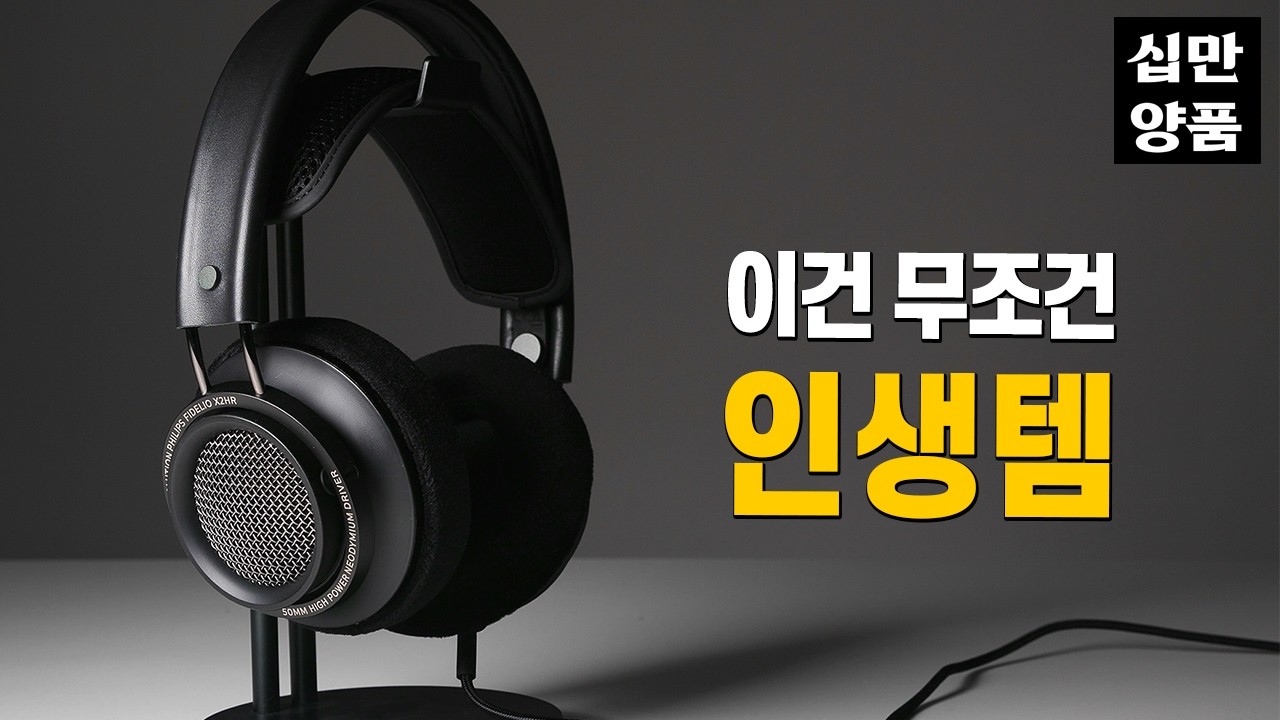 (공구포함) 레퍼런스 헤드폰의 전설을 10만원에 만나다. 필립스 피델리오 X2HR