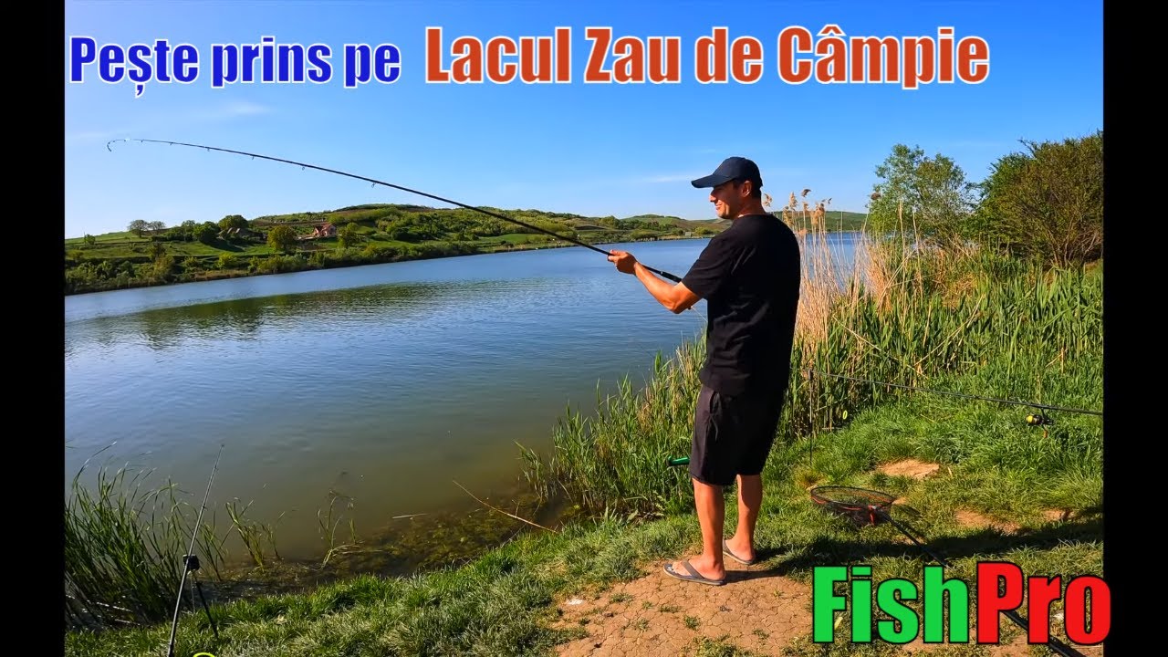 Pescuit reușit la CARAS pe Lacul Zau de Campie Mures în 30 Aprilie 2024 #pescuit2024 #feeder