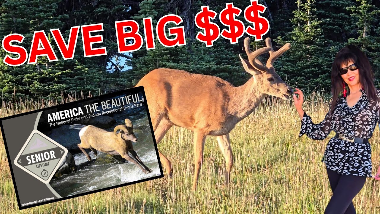 $80 Lifetime Senior Pass to National Parks! BIG SAVINGS - Olympic National Park