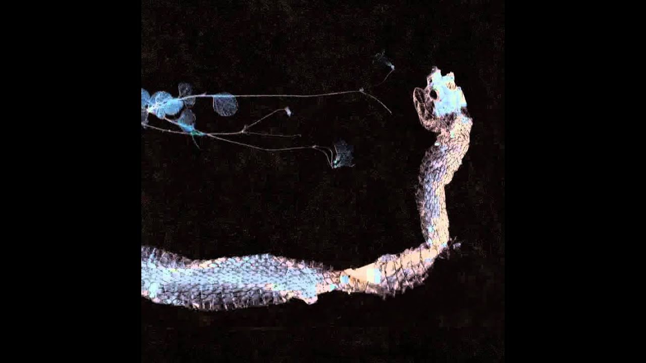 Tenhi - Rannalta Haettu (From The Shore)