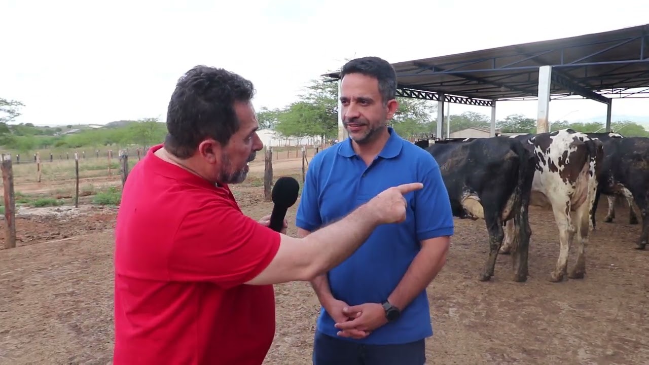 Fazenda Campo Verde é uma das Maiores Produtoras de Leite de Alagoas