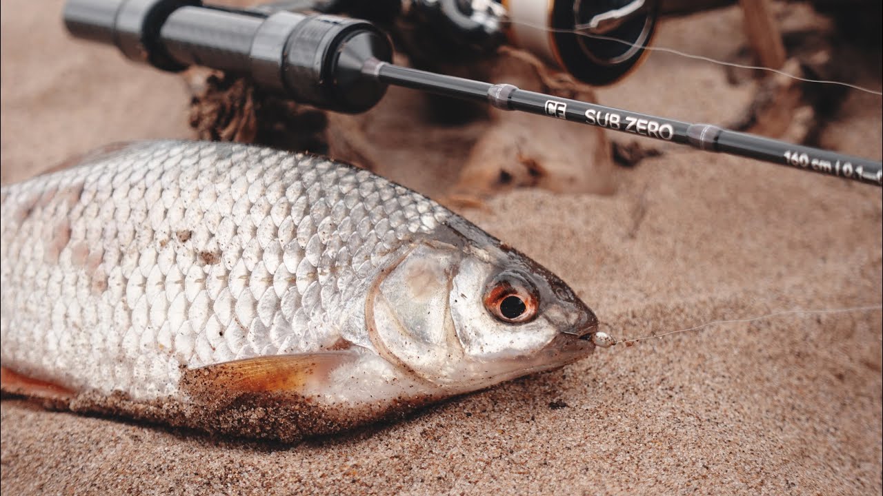 ОГО сколько рыбы на CF SUB ZERO!!! Ловля мирной рыбы на мормышинг!