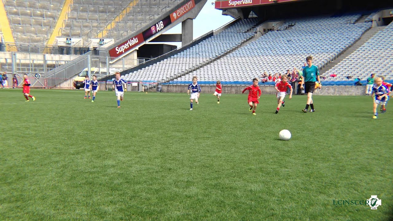 Leinster GAA U8 Go Games