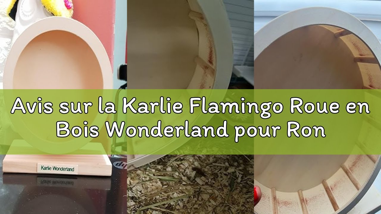 Avis sur la Karlie Flamingo Roue en Bois Wonderland pour Rongeur Bogie 30 cm