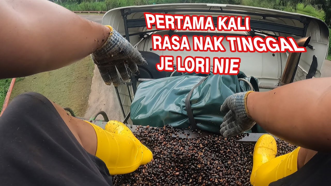 tutup canvas dalam hujan dan berminyak TRELER KARGO perit!!
