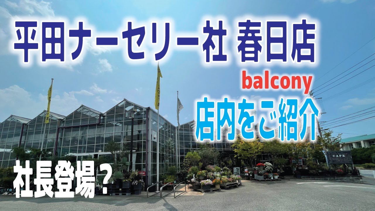 23.07.27   平田ナーセリー社春日店balconyの様子を紹介 ”社長登場”？