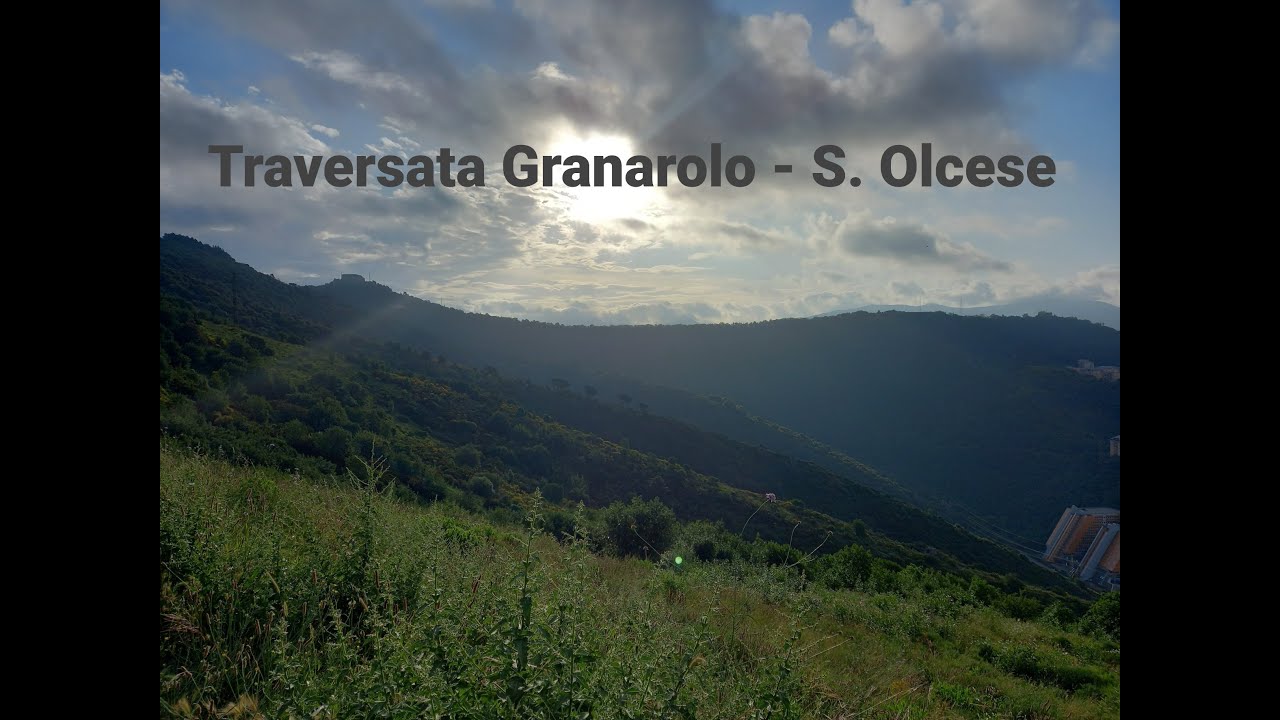 Da Granarolo a S. Olcese - Monte Alpe e La Sella (AVML)