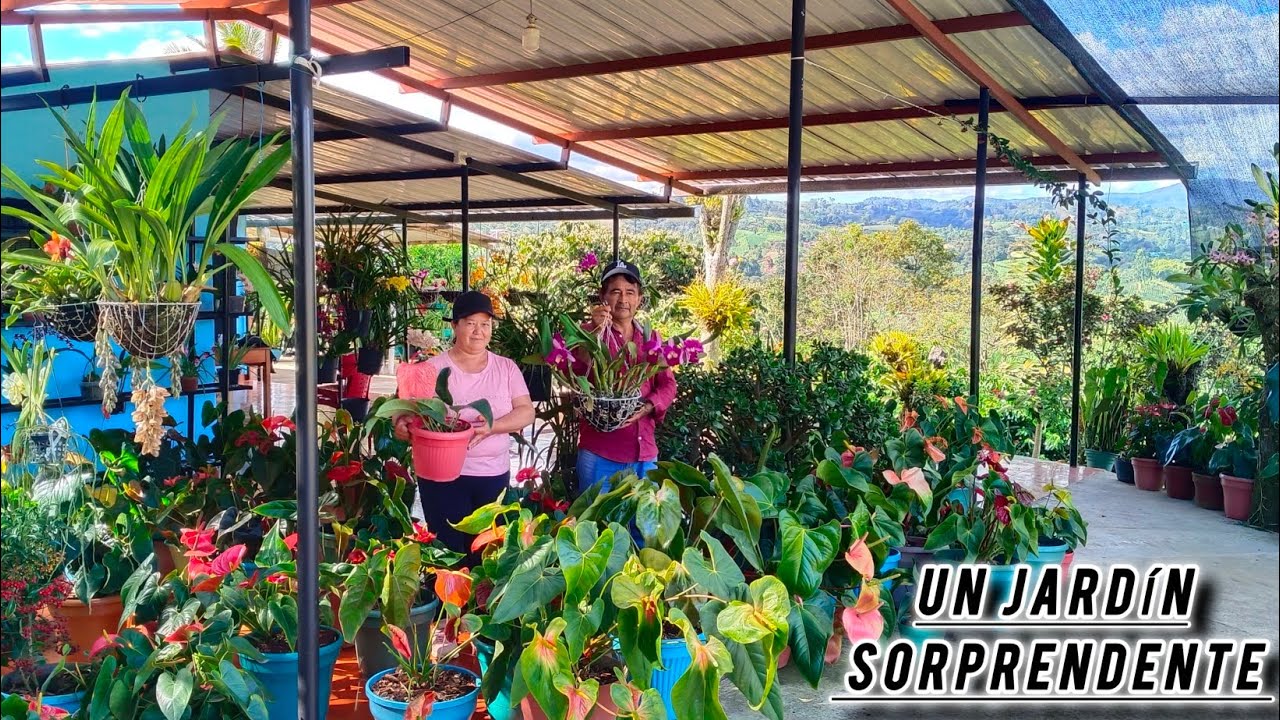 El jardín de Don Aldemar y su esposa 😊Huila  San José de isnos.
