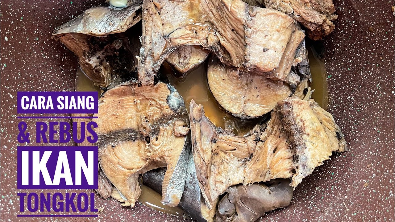 Cara Siang & Rebus Ikan Tongkol Hitam (Gulai Nasi Berlauk Part 1)