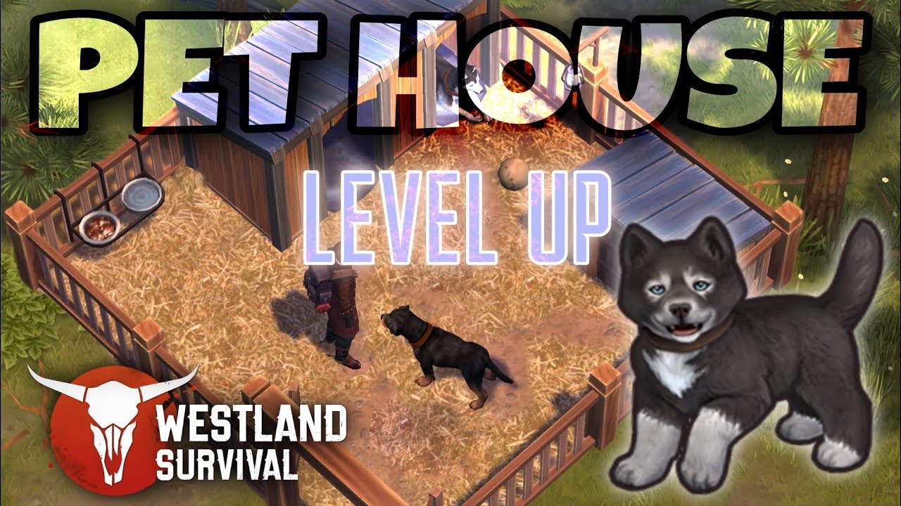 Westland Survival Resource Collecting and Upgrading Pets House level up