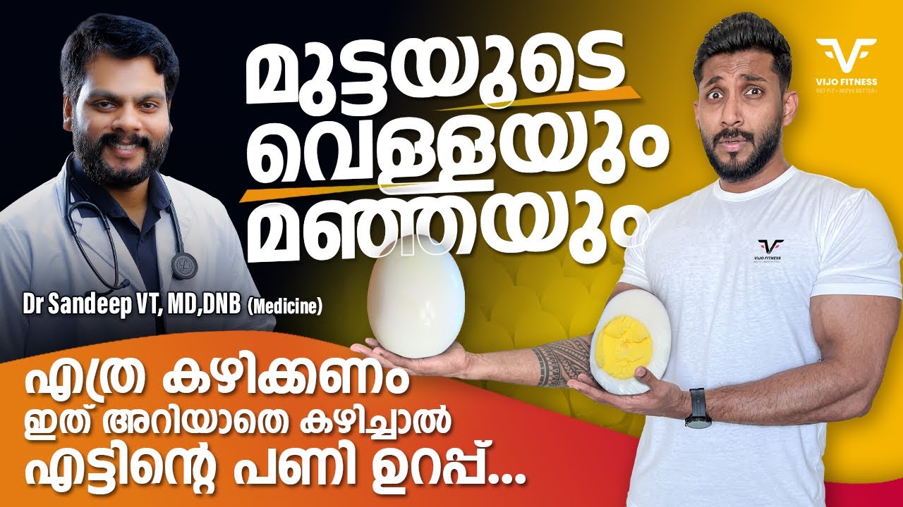 How Many Egg Yolks Should I eat a day ? | ഇത് അറിയാതെ കഴിച്ചാൽ എട്ടിൻറെ പണി ഉറപ്പ് | VIJO FITNESS