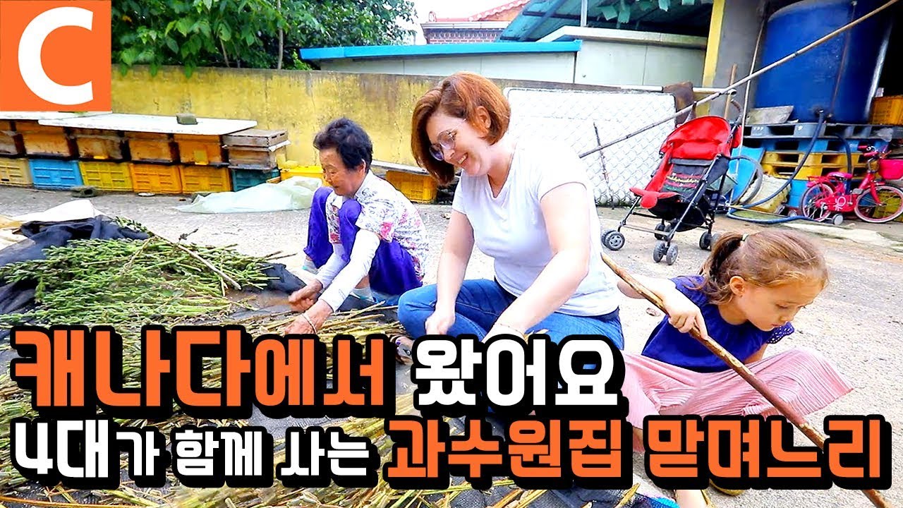 캐나다에서 온 애린🇨🇦 4대가 함께 사는 과수원집 맏며느리로 사는 법