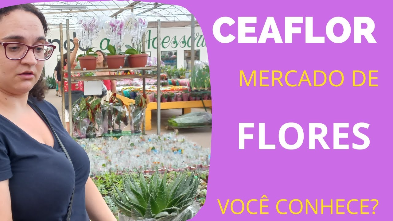 Ceaflor | Mercado das flores  de Holambra