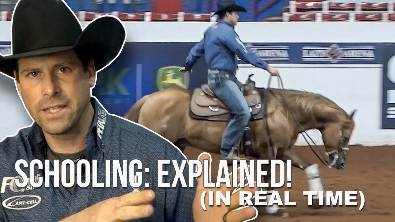 Schooling A Green Horse & Keep Them Relaxed - REAL TIME From The Show