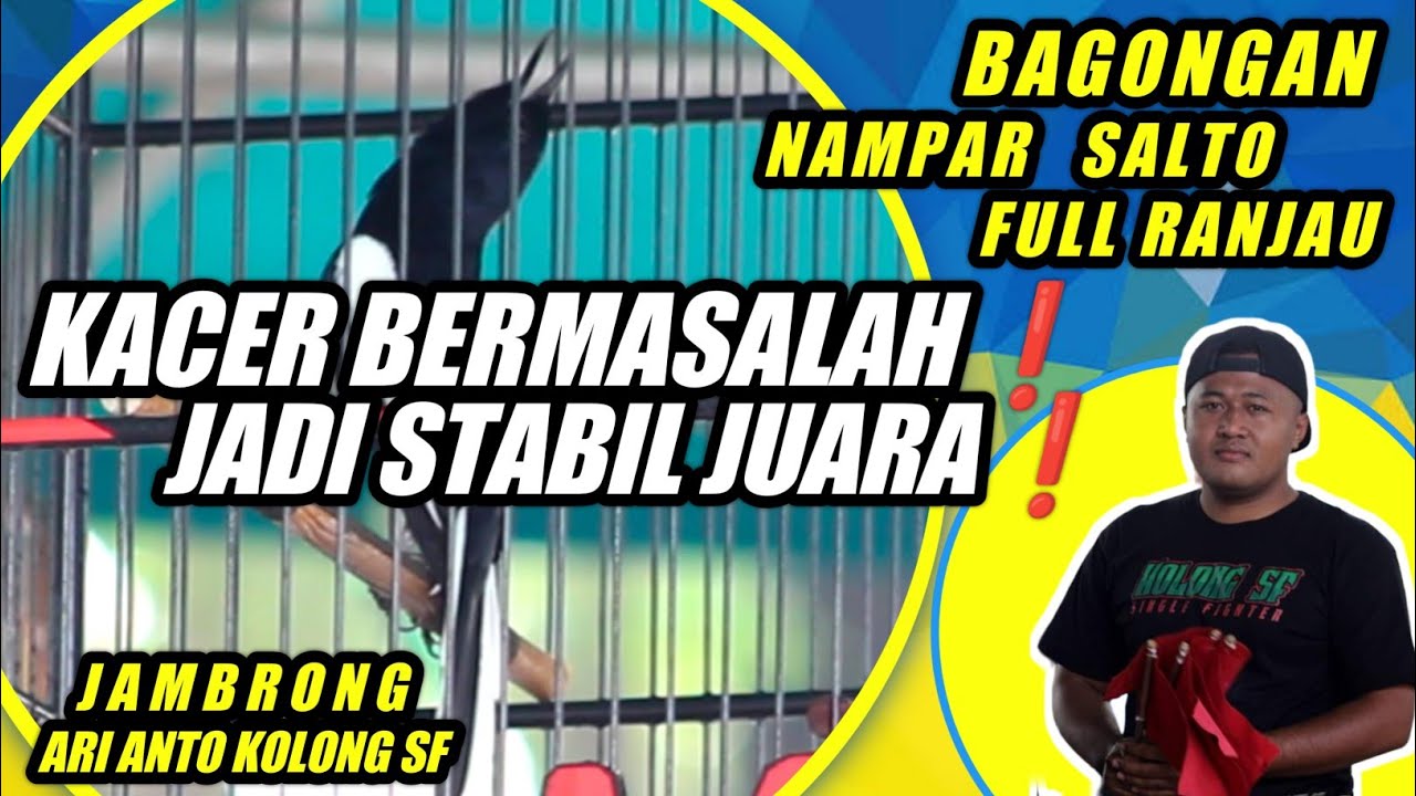 FULL❗KACER BERMASALAH 🔥CARA MERAWAT BURUNG KACER ❗JAMBRONG KACER KONSLET MATERI MEWAH 🔥