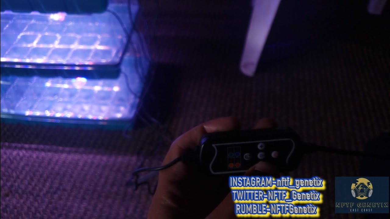 Humidity Dome Review