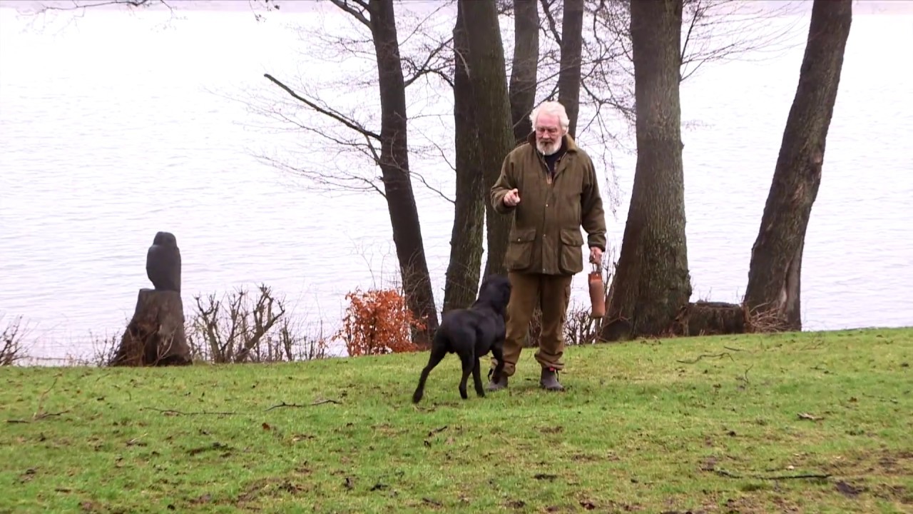 Rolf Andersen - Familie Journals nye hundeklummeskribent