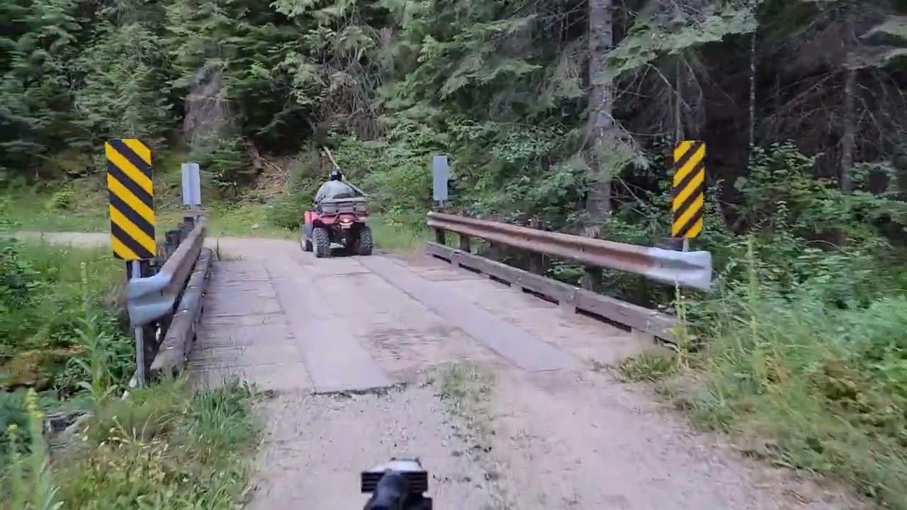 St Joe River, North side Road FS-746 | 8/14