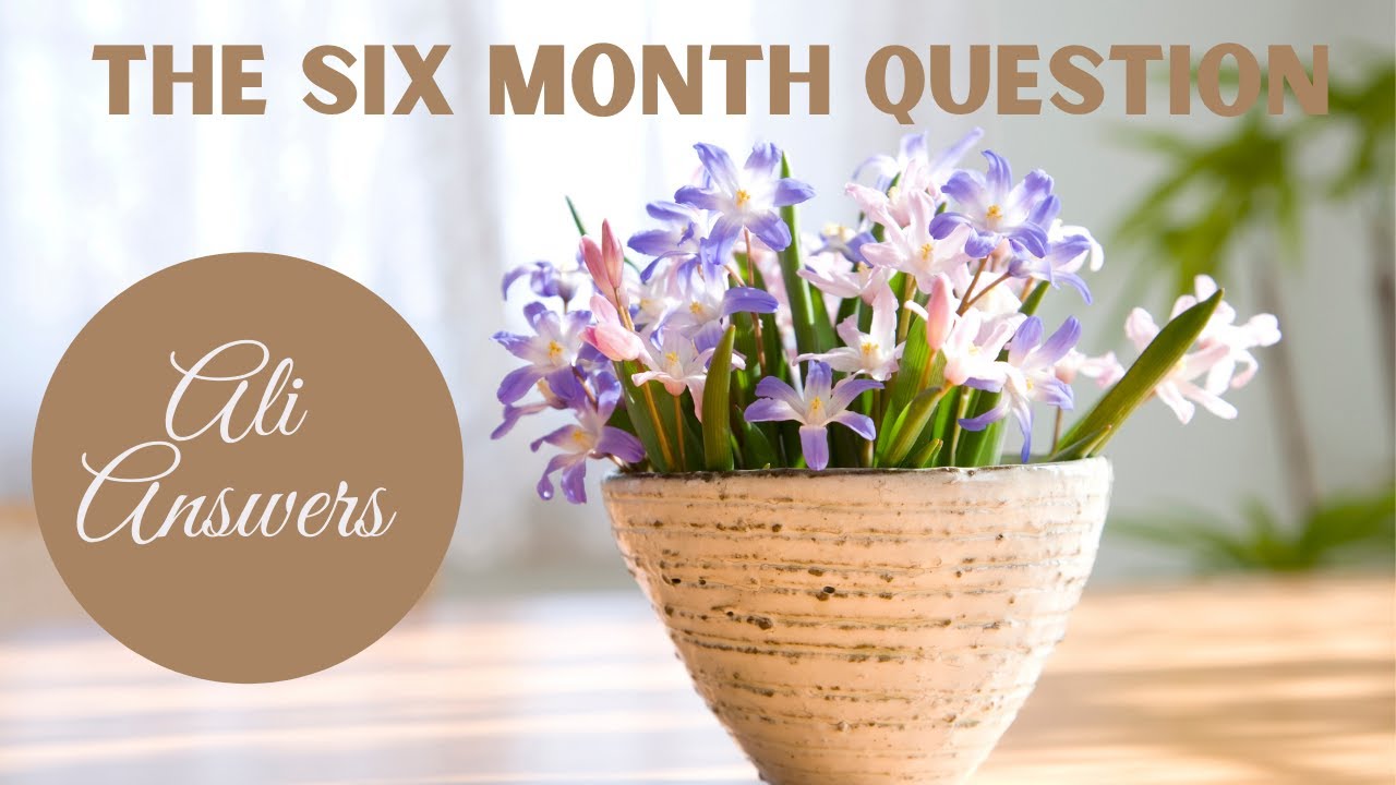 The 6 Month Question