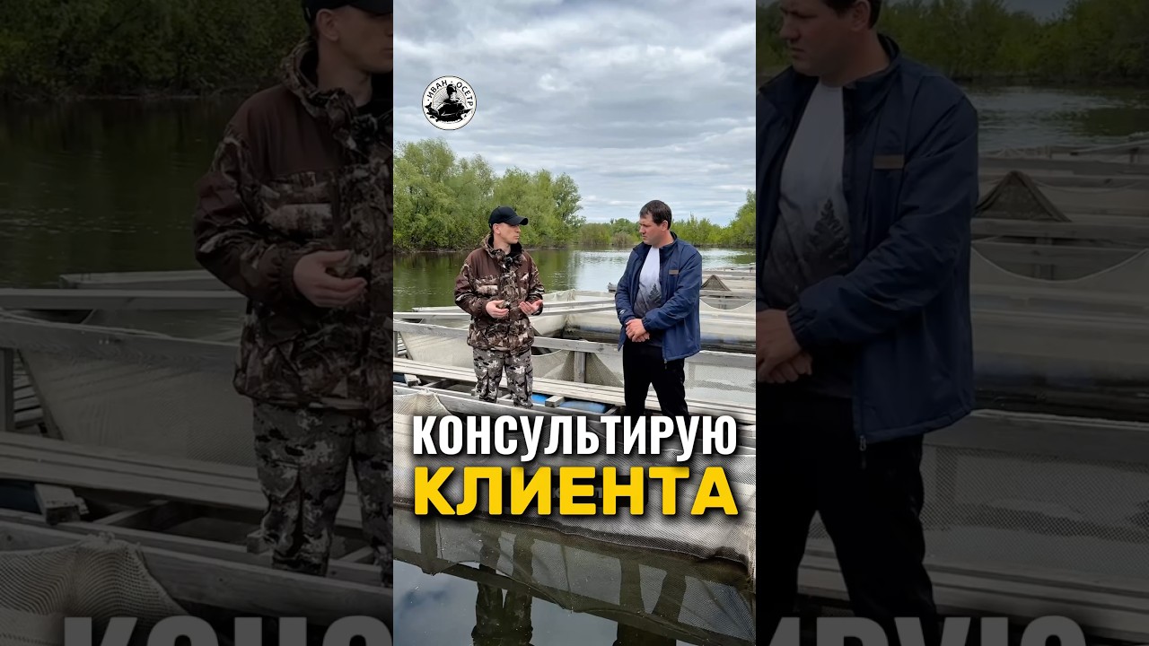 Консультирую клиента. 