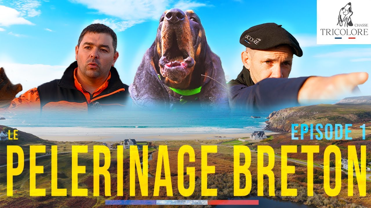 Chasse au sanglier en Bretagne – Le Pèlerinage Breton | Épisode 1