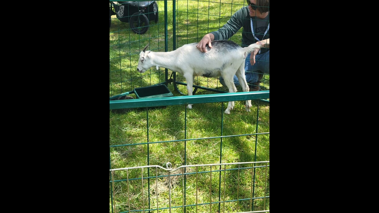 I have to poop,oh let me help you,