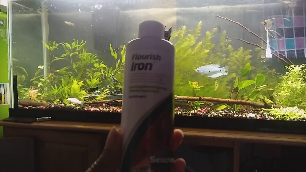 Flourish iron review (I want the color)