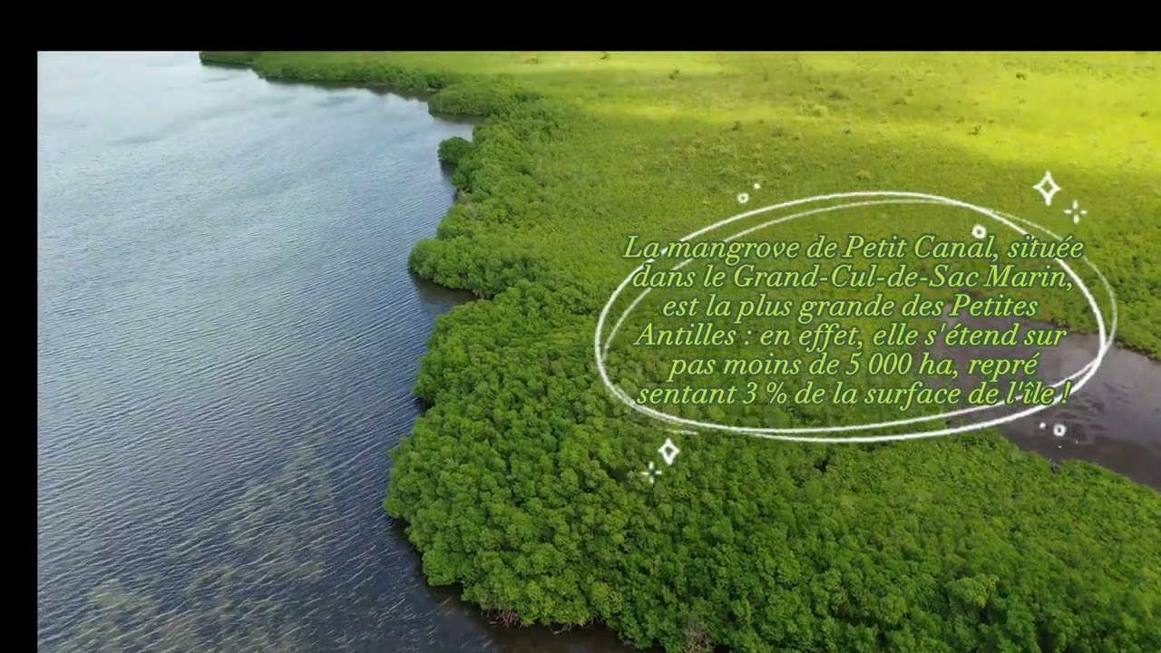 Première vidéo sur la zone de Petit-Canal