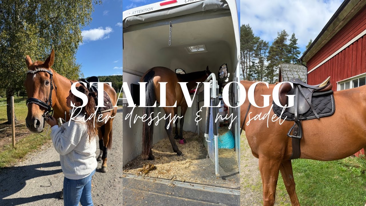 Testar nya sadlar och dressyrträning 😍⭐️