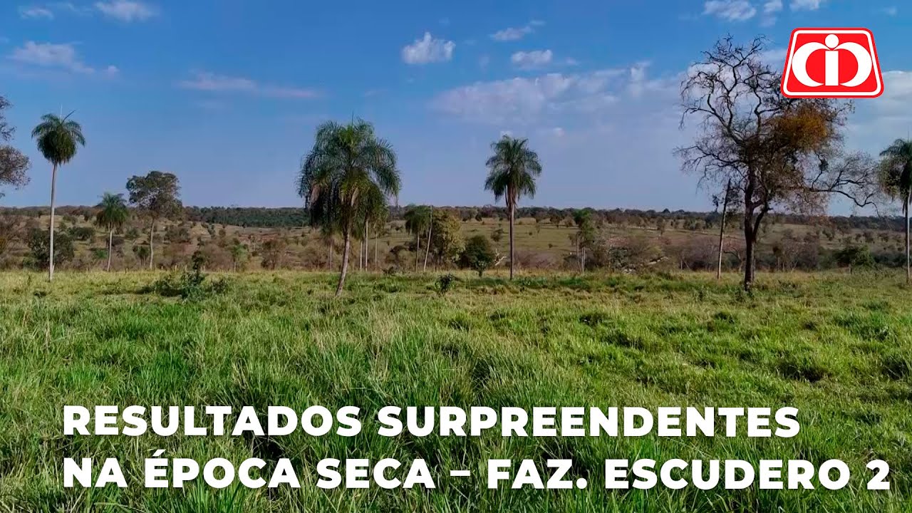 MG12 Pared&atilde;o: Resultados Surpreendentes na &Eacute;poca Seca &ndash; Fazenda Escudero 2 em Jardim - MS