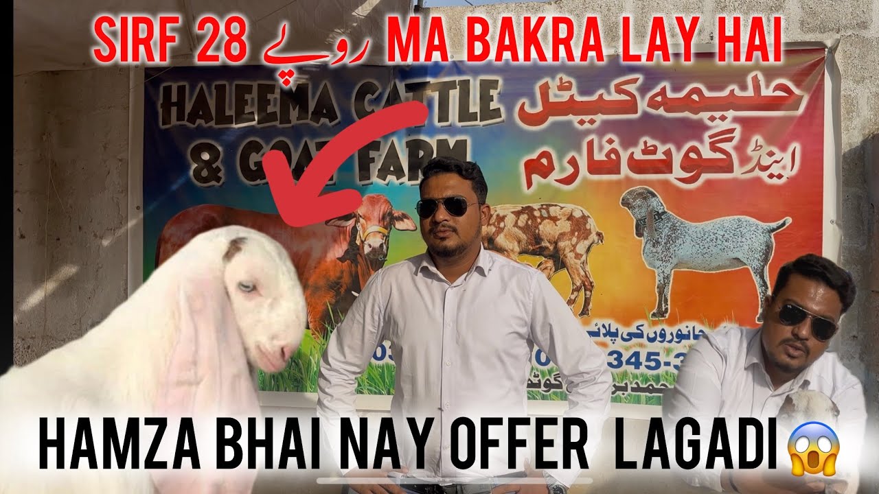 MAYMAR K SHAUQEEN NAY DAY DI KARACHI KI SAB SE SASTI OFFER😱 |sirf 28 hazar ma bakra milay ga 😱😱