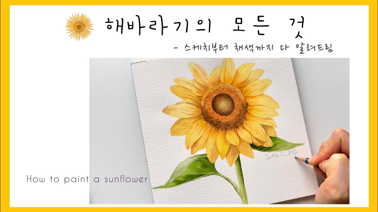 [ENG] 해바라기 수채화🌻 | 스케치부터 채색까지 상세한 설명🗒| How to paint a sunflower
