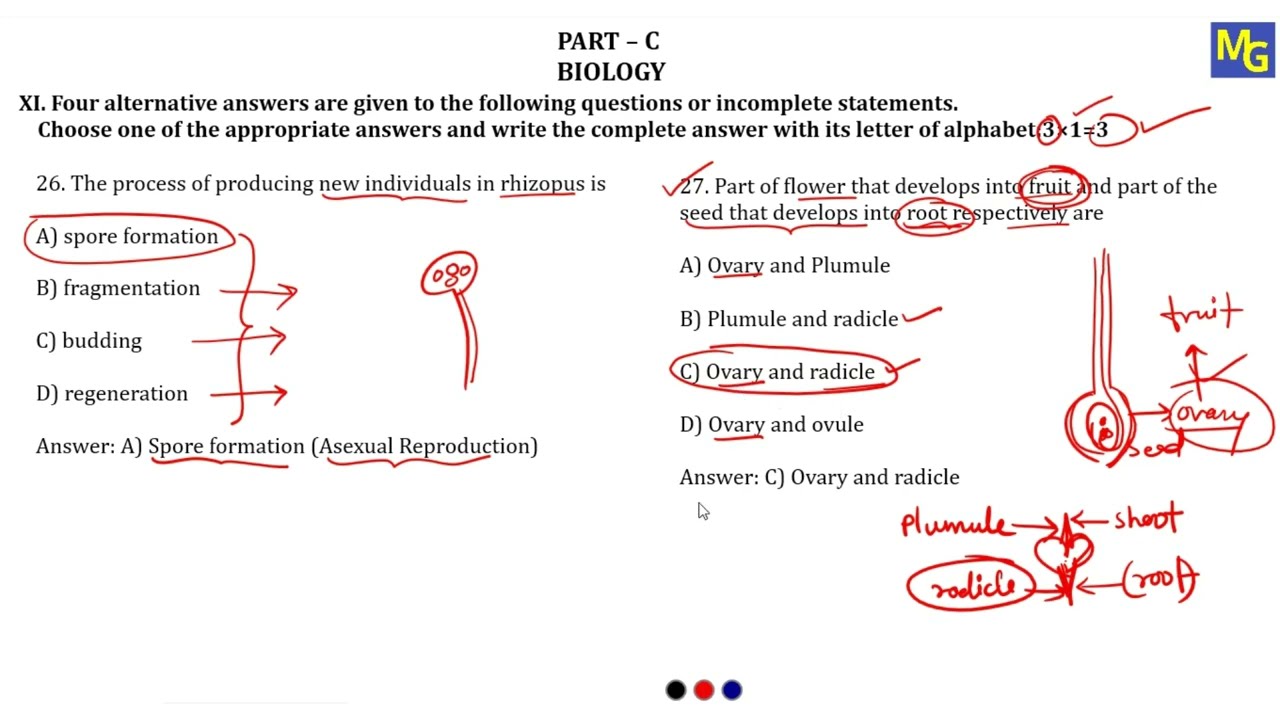 MQP - 4 | Part C Biology | 1 Mark | Class 10 | KSEAB | 2025 - 2026 | SSLC | Model Question Paper