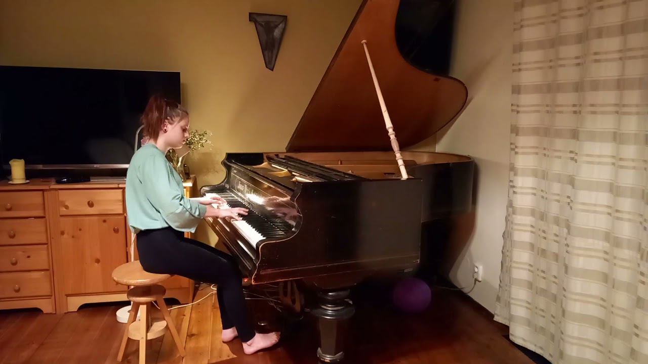 Koncert  žáků přijatých na konzervatoř