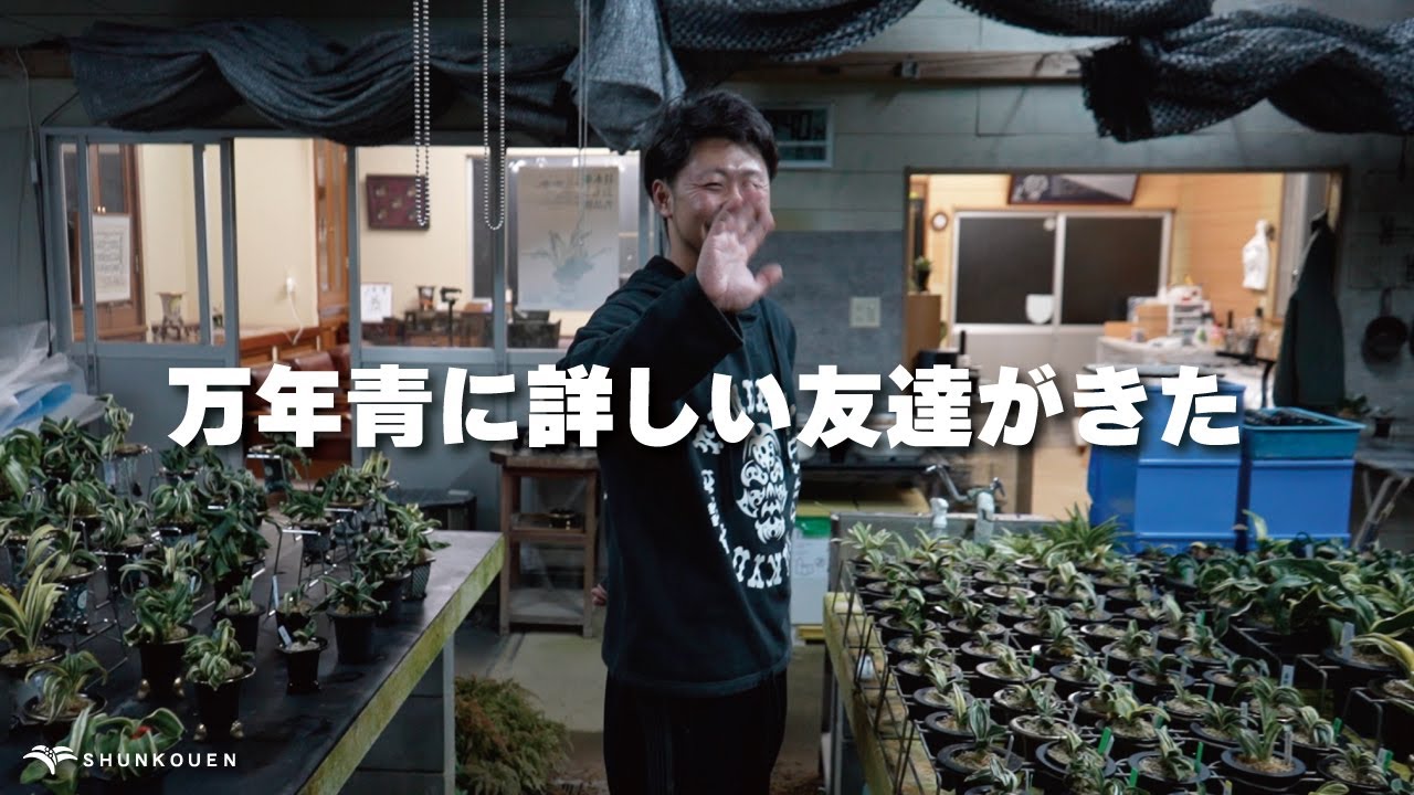 20代おもと趣味者に質問攻めしてみた