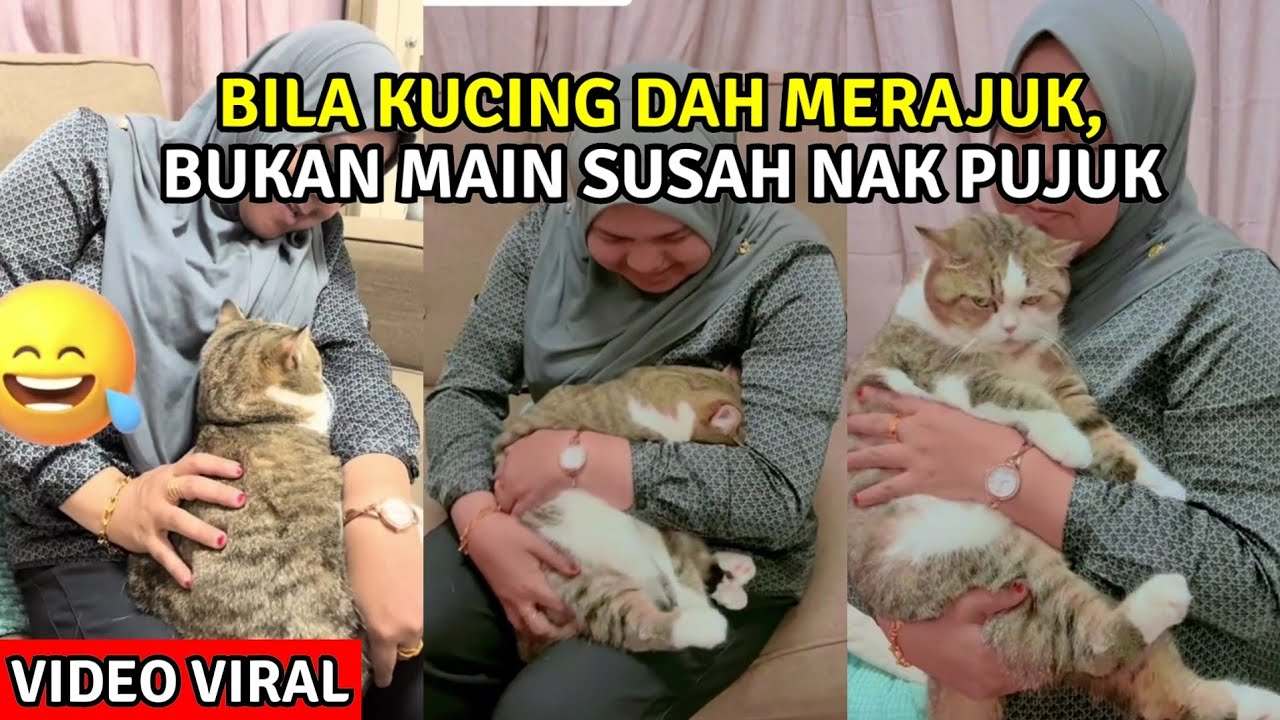 VIDEO KUCING MERAJUK DENGAN TUAN GARA2 KENA TINGGAL