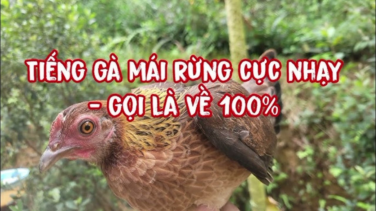 Hên Xui Thôi